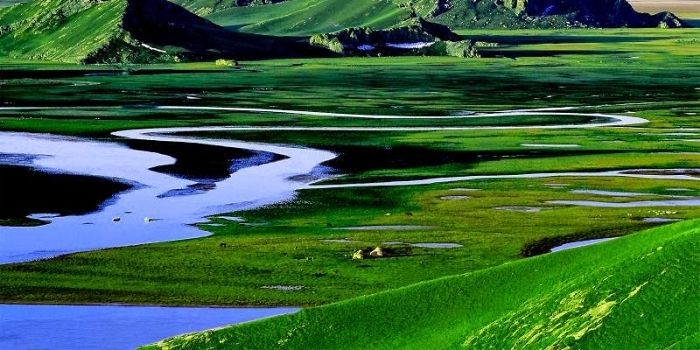 Bayanbulak grassland